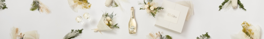 Shop our champagnes