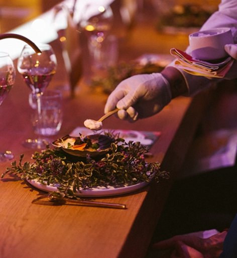 The Banquet of Nature Mobile