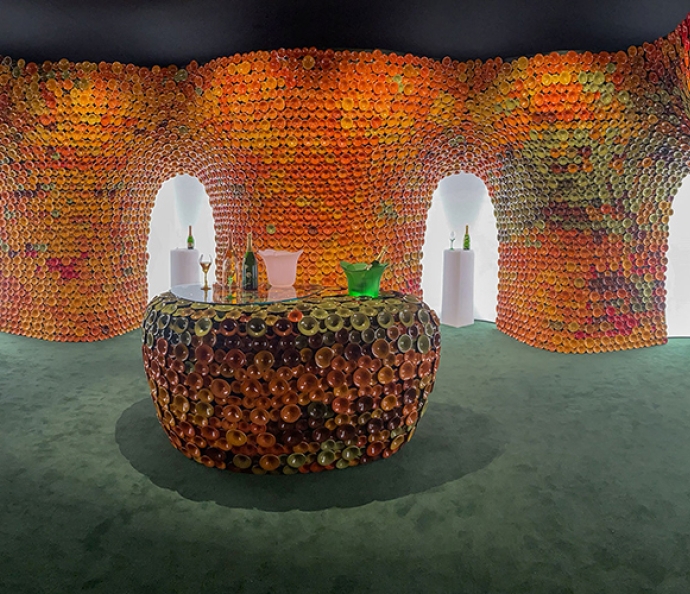 Metamorphosis installation