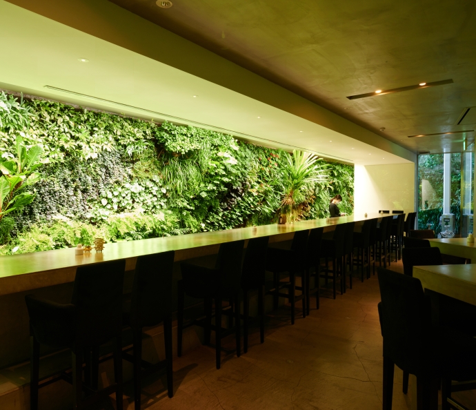 WALL