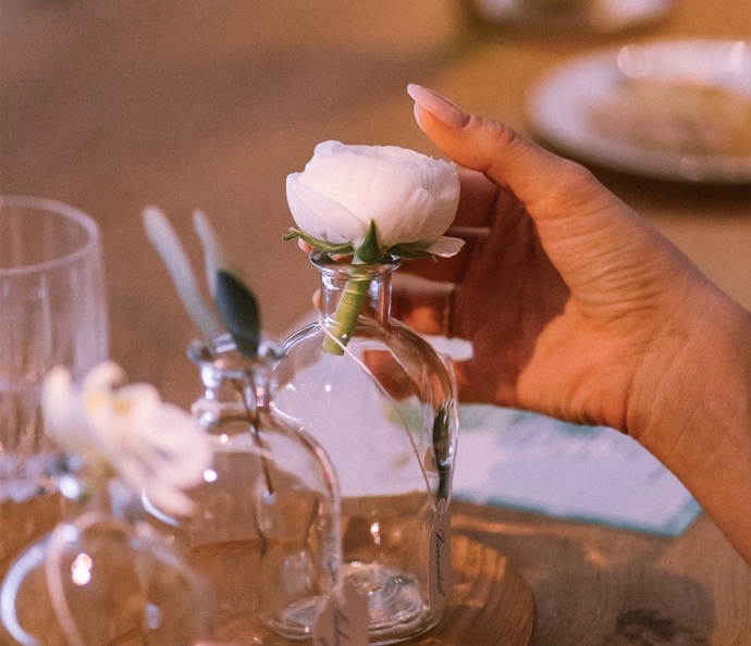 The Banquet of Nature Event